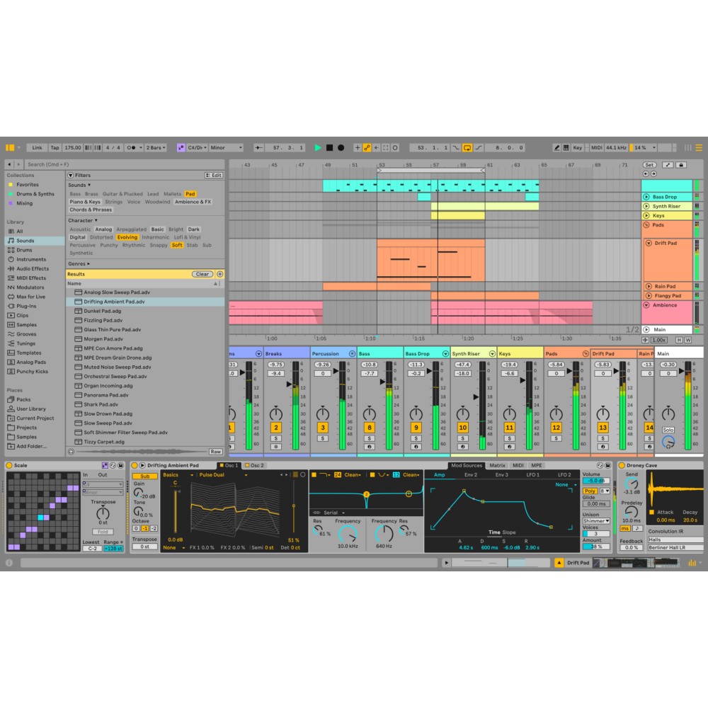 Ableton Live 12 Intro Music Production Software – Digital Delivery - Image 2