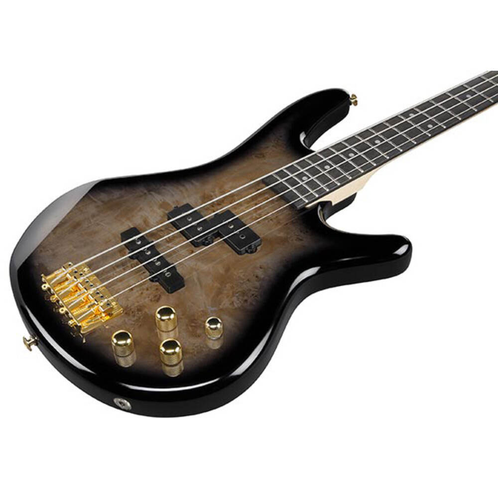 Ibanez GSR200PC-TBP Gio Series 4-String Electric Bass Guitar Canvas Art Grain Okoume Top In Transparent Pale Black Burst Finish - Image 2