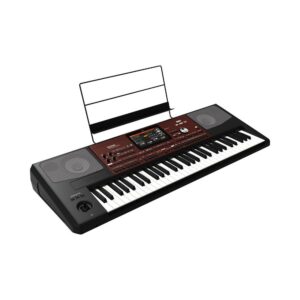 Korg Pa700 61-Key Professional Arranger Synthesizer Keyboard