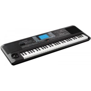 Korg microARRANGER 61-Key Synthesizer Arranger Keyboard