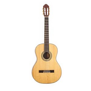 Peavey Delta Woods CNS-2 Classical Nylon String Guitar