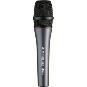 Sennheiser E 865 Condenser Super Cardioid Vocal Microphone
