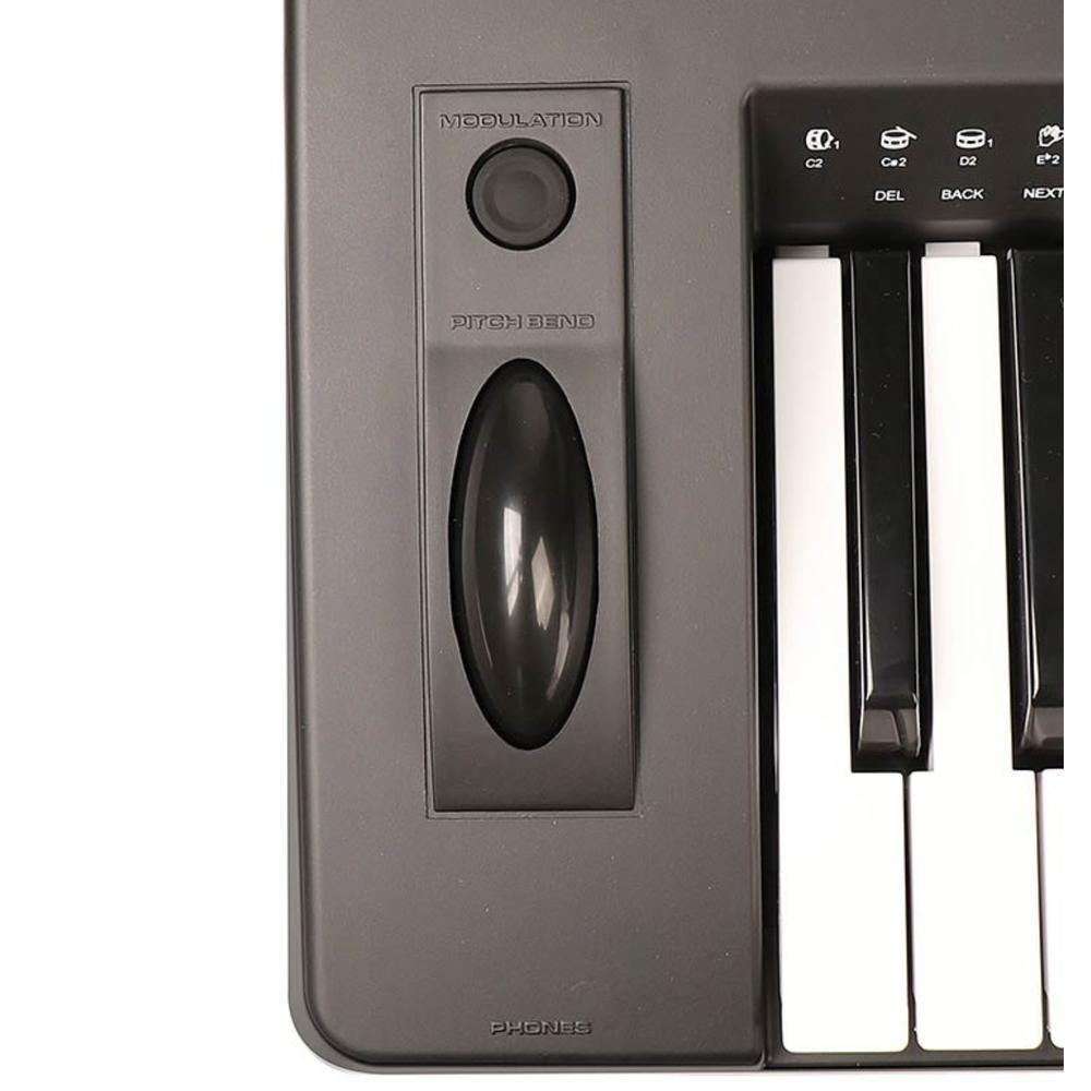 Medeli A810 61-Key Arranger Keyboard - Image 3