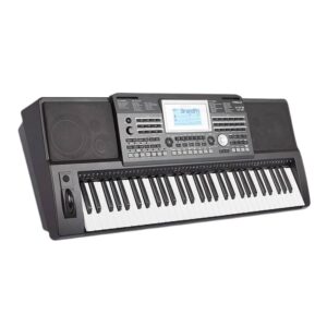 Medeli A810 61-Key Arranger Keyboard