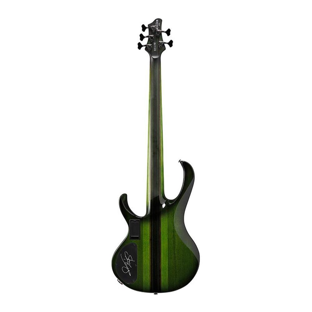 Ibanez SDGB1-DMT Steve Di Giorgio Signature Fretless - Dark Moss Burst - Image 4