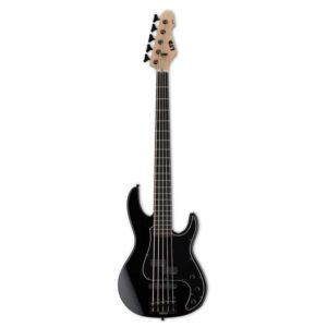 ESP LTD AP Series 5-String Electric Bass, Black Finish